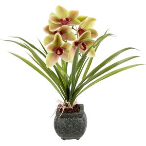 Kunstblume MY HOME "Orchidee", bunt (grün, rosa), B:35cm H:40cm L:25cm, Polyester, Kunstpflanzen, Mit Blätter im Topf aus Zement Künstliche Blume Cymbidium-Orchidee