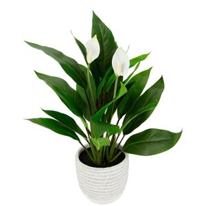 Kunstpflanze I.GE.A. "Spathiphyllum" Kunstpflanzen Gr. B/H/L: 30 cm x 48 cm x 28 cm, 1 St., grün (grün,weiß) Künstliche Zimmerpflanzen