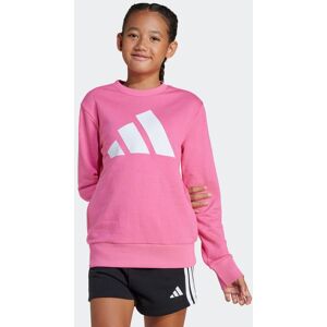 Sweatshirt ADIDAS SPORTSWEAR "JG BL FT SWT", Kinder, Gr. 164, pink (pink fusion, weiß), Obermaterial: 55% Baumwolle, 36% Polyester, 9% Viskose, sportlich, Rundhals, Sweatshirts