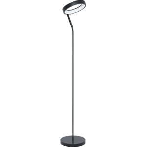 EGLO LED Stehlampe "MARGHERA-C", schwarz, H: 169,00cm, Lampen, Stehleuchte, Stahl, Schwarz, Weiß, Farbtemperaturwechsel, RGB, dimmbar