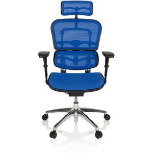 hjh OFFICE ERGOHUMAN EDITION Netz - Luxus Chefsessel Blau
