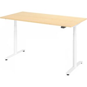 hjh OFFICE PRO XDLR 16 W 160x80 Schreibtisch elektrisch höhenverstellbar - Ahorn 160 x 80 elektrisch höhenverstellbar