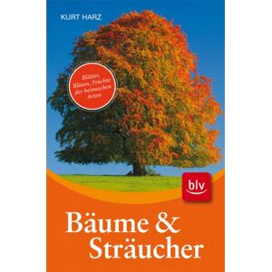 Kurt Harz - GEBRAUCHT Bäume und Sträucher: Blätter, Blüten, Früchte der heimischen Arten