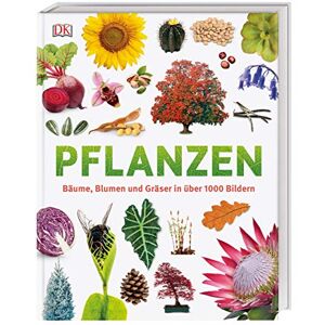 Jose, Dr. Sarah - GEBRAUCHT Pflanzen: Bäume, Blumen und Gräser in über 1000 Bildern