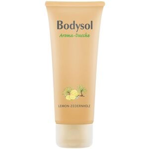 Bodysol Aroma Duschgel Lemon Zedernholz