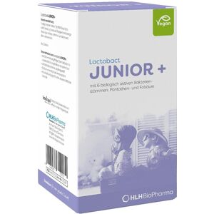 Lactobact JUNIOR + Pulver Monatskur
