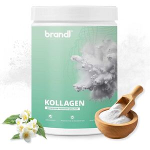 Brandl Nutrition Kollagen Pulver