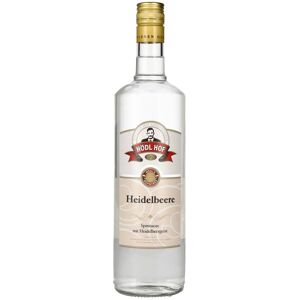 Hödl Hof HEIDELBEER Spirituose 33% Vol. 1l