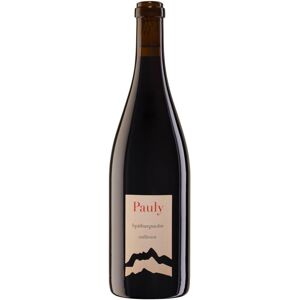 Axel Pauly Spätburgunder Reserve unfiltriert 2017