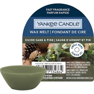 Yankee Candle Raumdüfte Duftwachs Silver Sage & Pine
