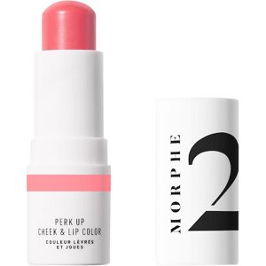 Morphe Lippen Make-up Lip Gloss M2 Perk Up Cheek & Lip Color Pink Me Up