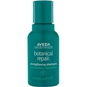 Aveda Botanical Repair Shampoo (50ml)