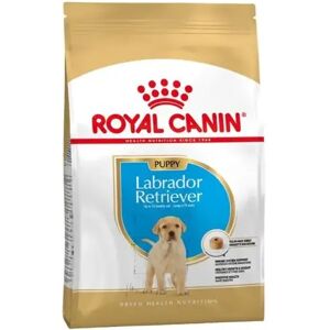 ROYALCANIN Comida Premium Pienso Perro Royal Canine Junior Labrador Retriever 33 12Kg - ROYALCANIN