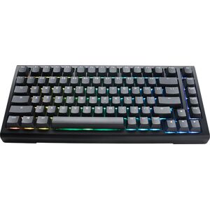 Ducky Teclado Mecânico Tinker65 75% RGB Black MX Blue (ES)