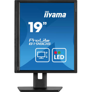 IIYAMA IIY B1980SB1 - Monitor de 48cm, pivote, negro