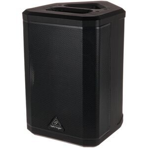 Behringer B1X