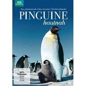 John Downer Pinguine Hautnah