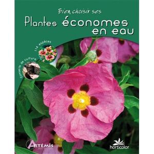 Horticolor Bien Choisir Ses Plantes Économes En Eau