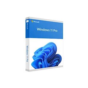 Microsoft Windows 11 PRO (OEM Activation FQC-10428)