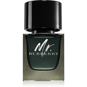 Burberry Mr. Burberry Eau de Parfum pour homme 50 ml