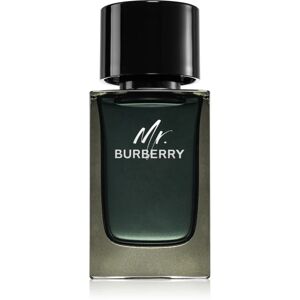 Burberry Mr. Burberry Eau de Parfum pour homme 100 ml