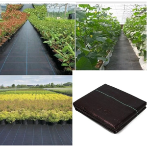 Aucun Couverture de gril au sol pour la lutte contre les mauvaises herbes, arbre fruitier, virus, tissu