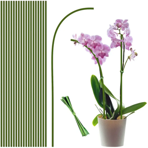 Aucun Piquets de Support de plantes pliables à tige unique, 16 pouces/40cm, vert, pour plantes d'intérieur