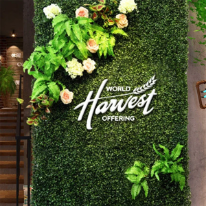 Aucun Pelouse murale de plantes artificielles de taille personnalisée, mur de fond de plantes vertes,