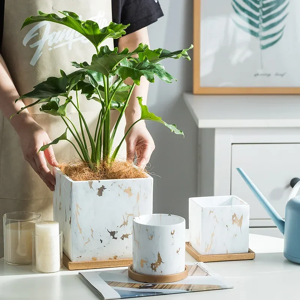 Aucun Pots de fleurs en céramique nordique, petites plantes vertes succulentes, pot de fleurs avec