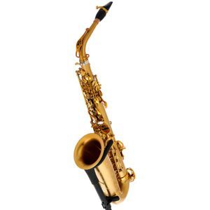 Selmer Supreme Alto Sax SE-ASUM