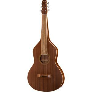 Gold Tone GT-WB Weissenborn Naturel mat