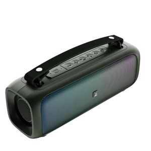 boAt Stone Beam Portable Bluetooth Speaker with 12W RMS Stereo Sound, Bluetooth v5.1, AUX, and USB (Pine Green)