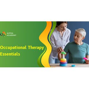 Occupational Therapy Essentials Enhancing Functional Independence and Well being