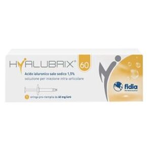 Fidia farmaceutici spa Hyalubrix 60 Sir 60mg 4ml N/e