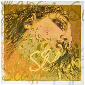 Pirastro Evah Pirazzi Slap D String Syn