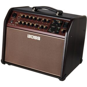 Boss ACS Acoustic Singer Live