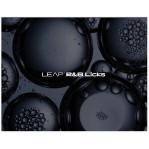Native Instruments Leap Expansion RnB Licks