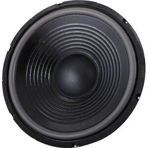 the box 12" Speaker TT305-H