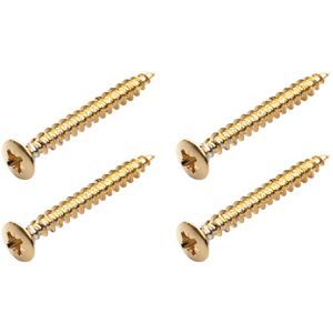 Warwick Screws for Bolt-On Necks G Gold