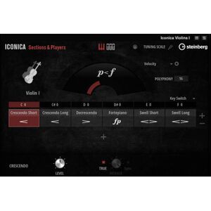 Steinberg Iconica Sections & Players
