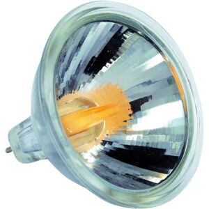 Leroy Merlin Lampadina LED, GU5.3 faretto, trasparente, luce naturale, 2.5W= 330LM 38°