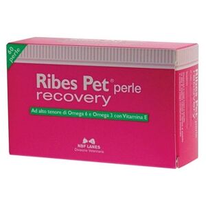 Nbf Lanes Ribes Pet Recovery Blister 60 Perle