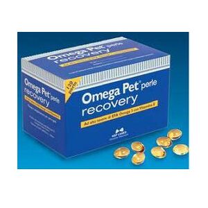 Nbf Lanes Omega Pet Recovery Blister 120 Perle