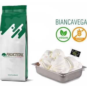 Fructital Base per gelato BiancaVega (1,5 Kg)