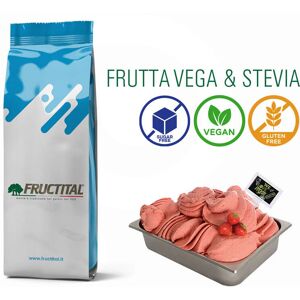 Fructital Base per gelato Frutta & Stevia (1,05 Kg)