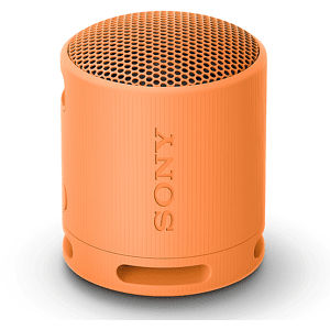 Sony SPEAKER BLUETOOTH SRSXB100D