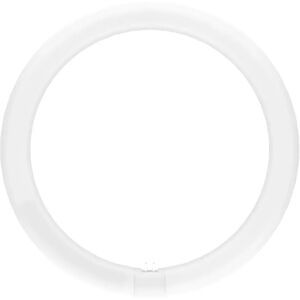 Osram Tubo LED T9C EM 32 183 W 2200 lm 6500 K