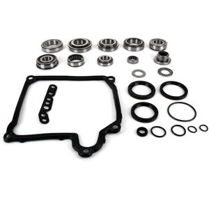 INA 462 0055 10 Kit riparazione, Cambio manuale