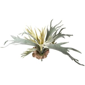 giordanoshop Set 2 Rami Artificiali Platycerium per 13 48 cm...