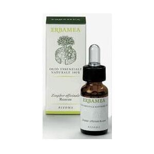 Erbamea Lavanda Vera Olio Essenziale 10ml